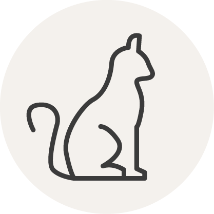 Icon Katze