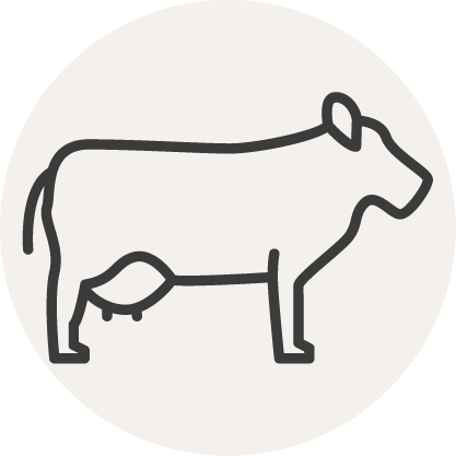 Icon Rind