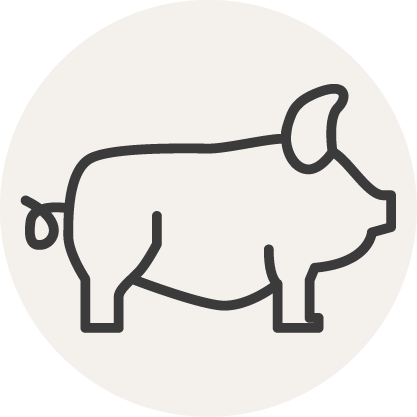 Icon Schwein